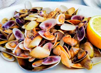 Dónde Comer y Copas Fuengirola Los Marinos Paco
